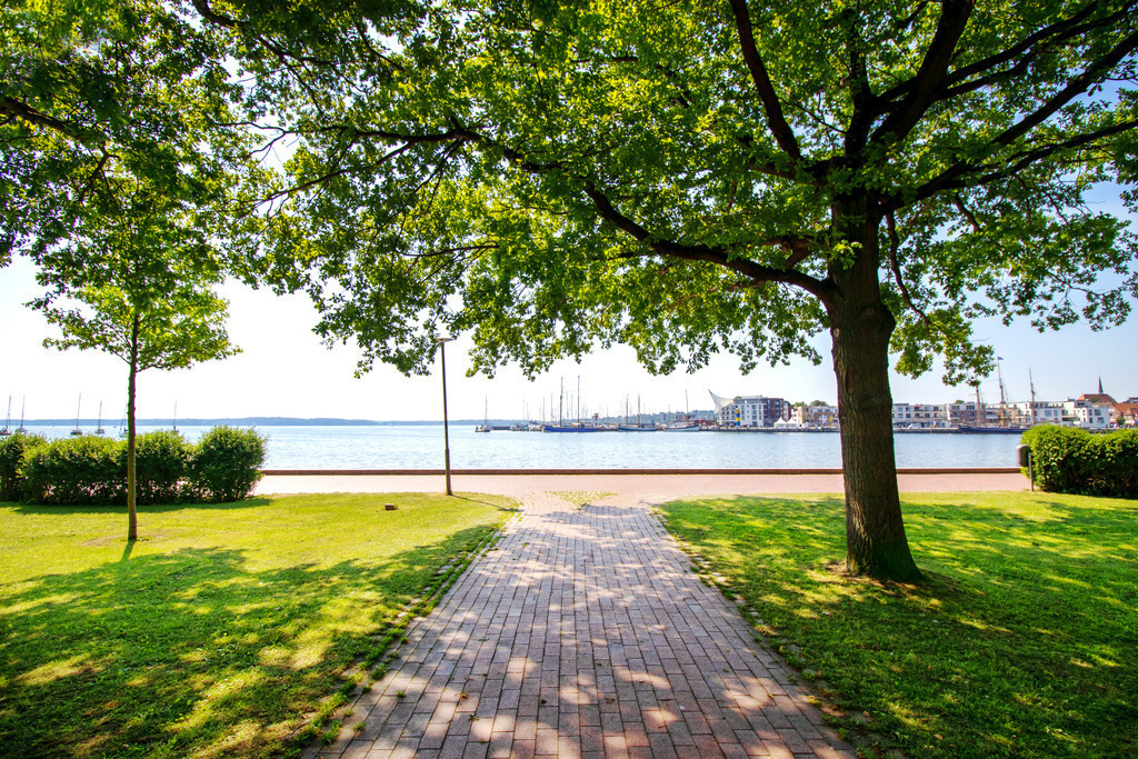 Wandbild: Promenade am Hafen in Eckernförde | Dieses Wandbild zeigt den Blick auf die Promenade in Eckernförde am Hafen. Im Vordergrund sind schöne sommerliche Bäume zu sehen.  - Realisiert mit Pictrs.com
