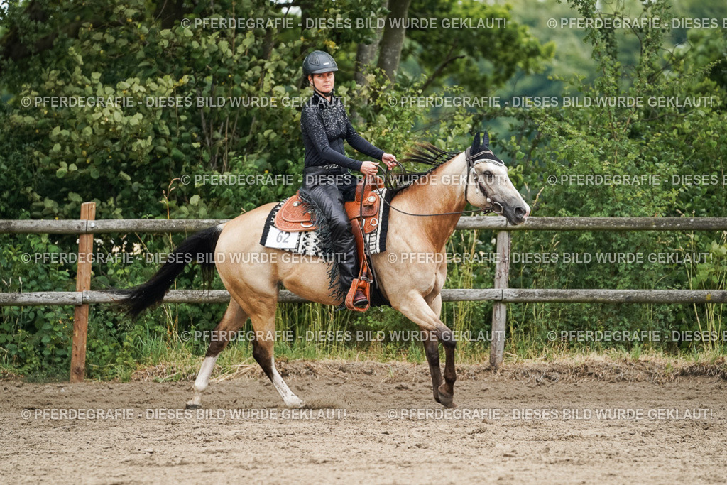 DSC03698 | Pferdegrafie