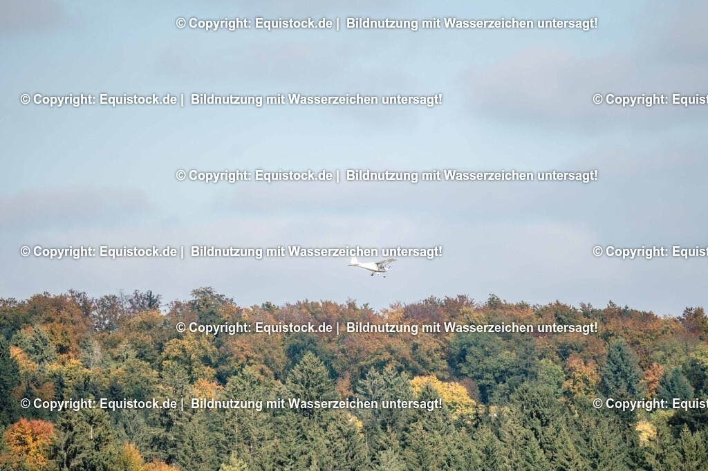 20251011_Jagd-Marbach_0322 | Foto: Thomas Hartig