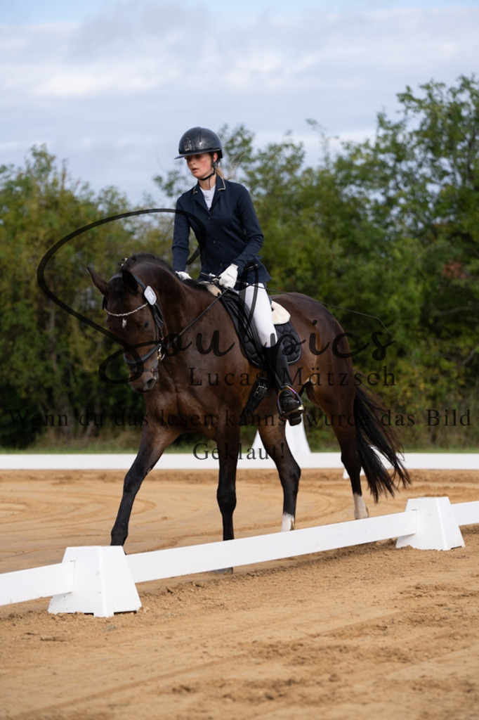 A7V05073 | Pferdefotograf