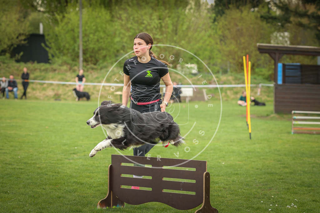 Pfotenfotografie_0L8A0829 | Hundefotografie, Tierfotograf, Pfotenfotografie, Fotoshooting Hund, Hunde Portrait, Hundesport, Hundeportraits, Heideshooting, Hunde, Sportfotograf, Hundefotograf, Turnierhundsport, THS,  - Realisiert mit Pictrs.com