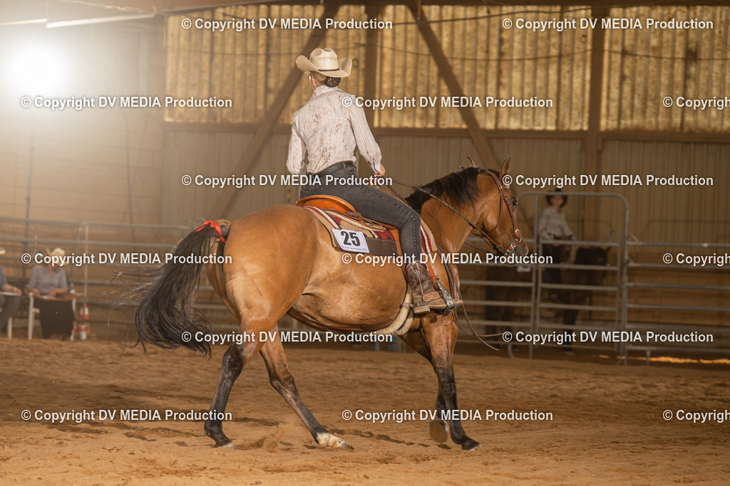 NID03773 | dv-media-shop - Realisiert mit Pictrs.com