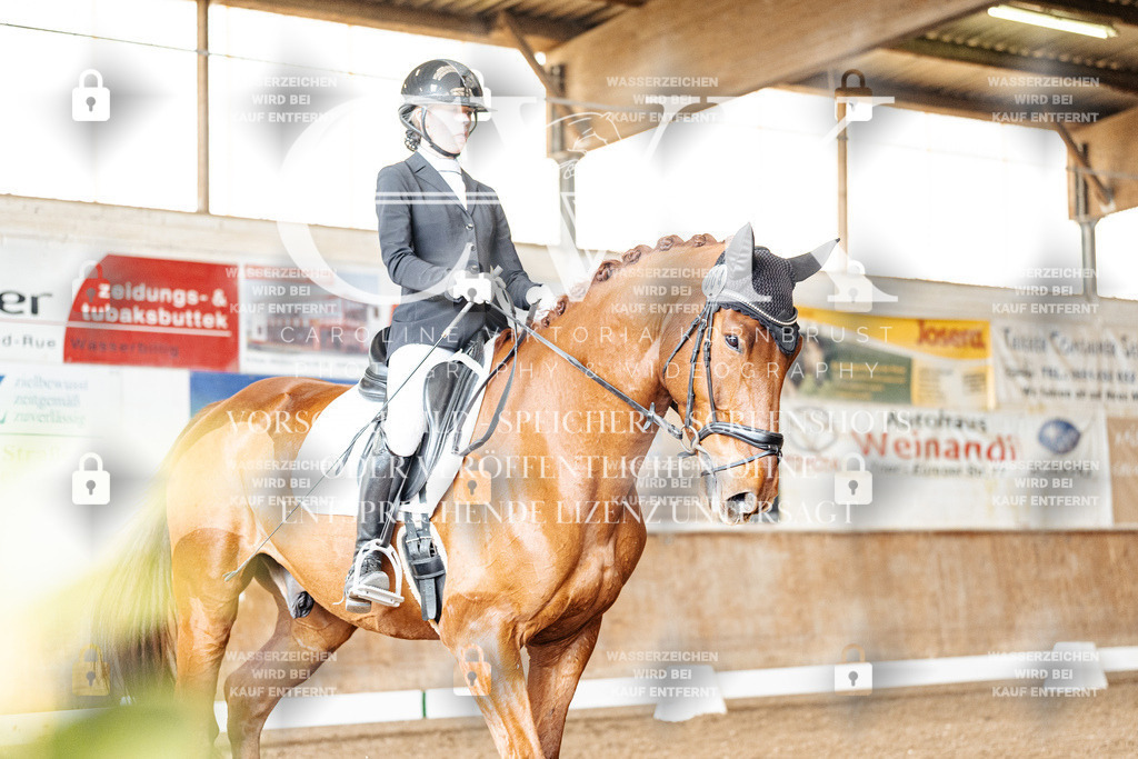 CK901056 | Turnierfotografie Pferdefotografie Trier Rheinland-Pfalz Pferdesport Reitsport Tierfotografie Sportfotografie Pferdevideo Pferdevideografie Equestrianvideography equestrianphotography  - Realisiert mit Pictrs.com