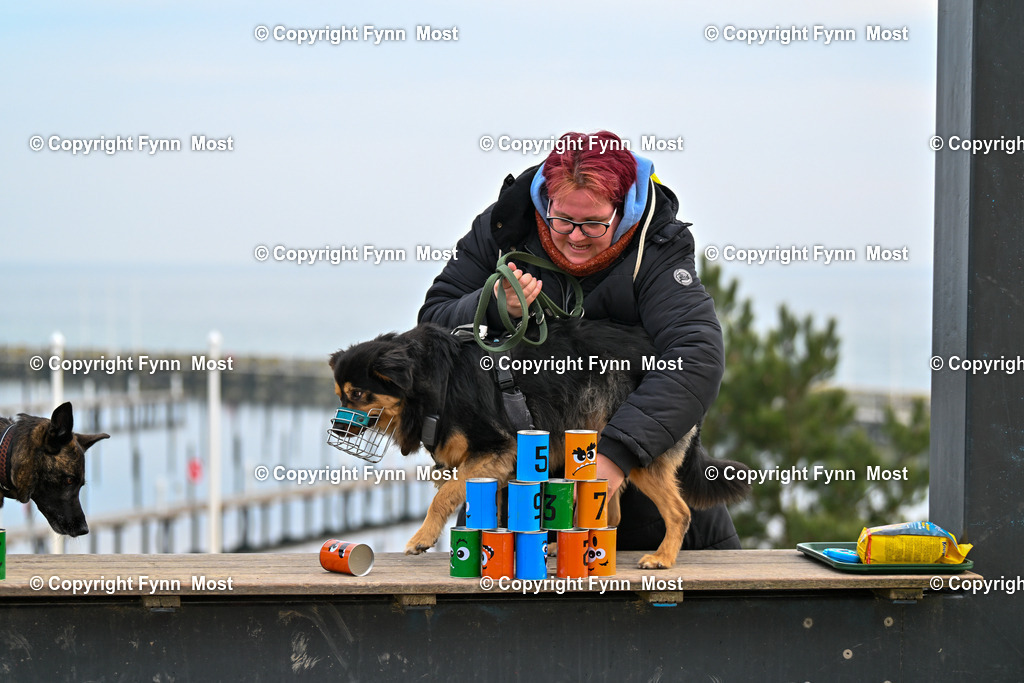 DSC_4282 | Hallo und herzlich Willkommen auf meiner Shop-Seite Fynn Most.

Ich wünsche Dir viel Spaß beim stöbern durch die Bilder, wenn Du Fragen hast oder Bilder vermisst, kannst du mir gerne eine Nachricht schreiben. - Realisiert mit Pictrs.com