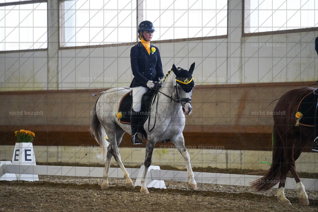20240825-FAH08960 | Turnierbilder, Reitsportfotos, LAPO, Landesponyturnier, Turnierfotografen Bayern