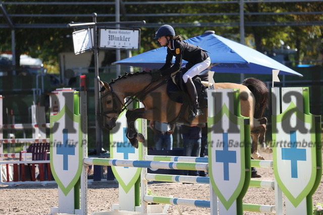 Pforzheim_2023_Prfg.Nr.16_LJC_U14_Springen_Ponys_Lilli Trösch_Golden Emperor (3) | Alle Fotos der Reiterjournal Fotografin Doris Matthaes im Reiterjournal Online-Fotoshop. - Realizado com Pictrs.com