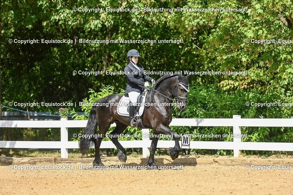 20230715_02_Dressurreiterprüfung Kl.L_0166 | equistock