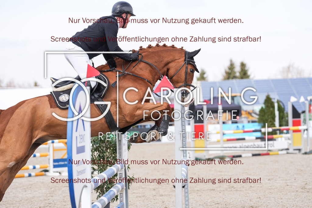 DSC05715 | Late_entry_Springturnier_Bad_Wurzach, Jochen_Schelling, Mr._White_Nose_2