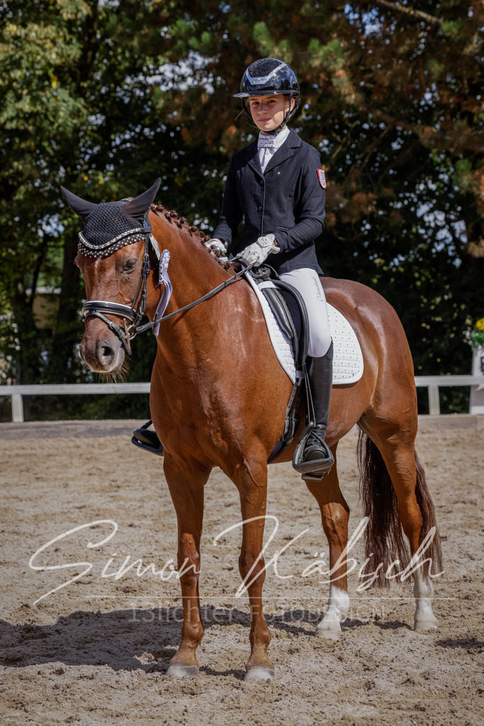 20250906-_3LI5781 | Tierfotografie Pferde, Hunde, Katzen, Haustiere.
Turnierfotografie Reitturniere, Reiten, Springreiten, Dressur in Hanau, dem Main-Kinzig-Kreis und dem Rhein-Main- Gebiet um Frankfurt