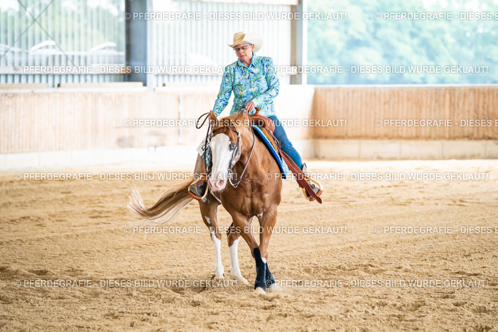 DSC06801 | Pferdegrafie