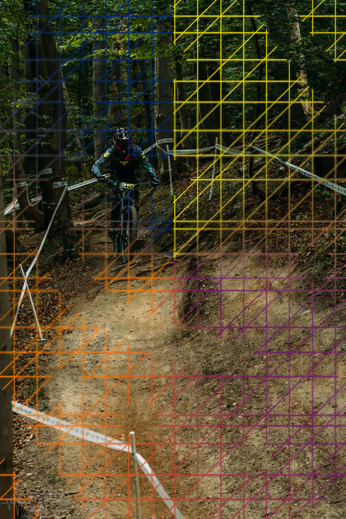 PAE-0659 | Einzigartige Fotokunst für dein Zuhause: Entdecke hochwertige Wandbilder, edle Prints und emotionale Motive von Wildlife, Natur und Landschaften - Realisiert mit Pictrs.com