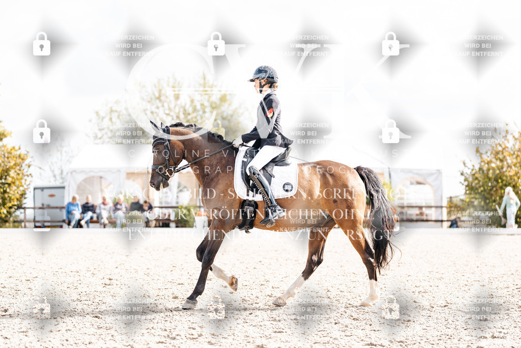 CK901661 | Turnierfotografie Pferdefotografie Trier Rheinland-Pfalz Pferdesport Reitsport Tierfotografie Sportfotografie Pferdevideo Pferdevideografie Equestrianvideography equestrianphotography  - Realisiert mit Pictrs.com