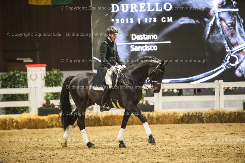 20240302_Hengstvorstellung_Marbach_TOMsPiC_1463 | equistock
