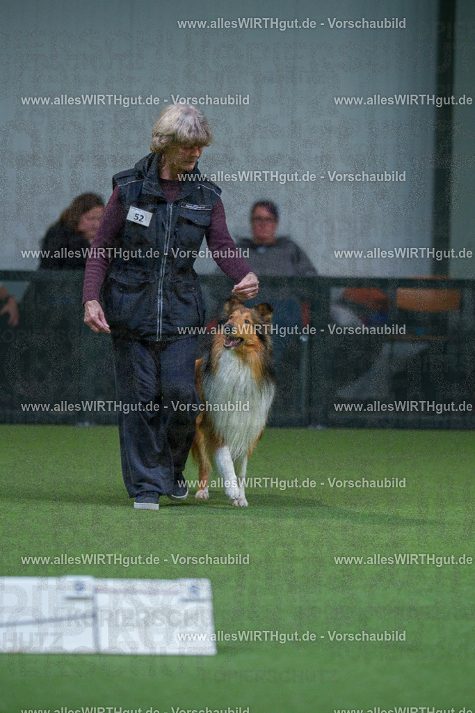 7R502096 | Professionelle Tierfotografie in Mönchengladbach von Daniel Wirth (allesWIRTHgut). Liebevolle & natürliche Bilder von Hunden & Katzen für unvergessliche Erinnerungen.