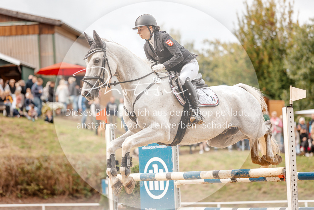 3I6A8181 | Stimmungsvolle Portraits und Reitsportfotografie im Ruhrgebiet und im Münsterland.

Pferdefotografie, Hundefotografie, Tierfotografie, Reportagen, Portraits von Tier und Mensch, Turnierfotografie in Bochum, Recklinghausen, Marl, Haltern am See, Dülmen.. - Realisiert mit Pictrs.com