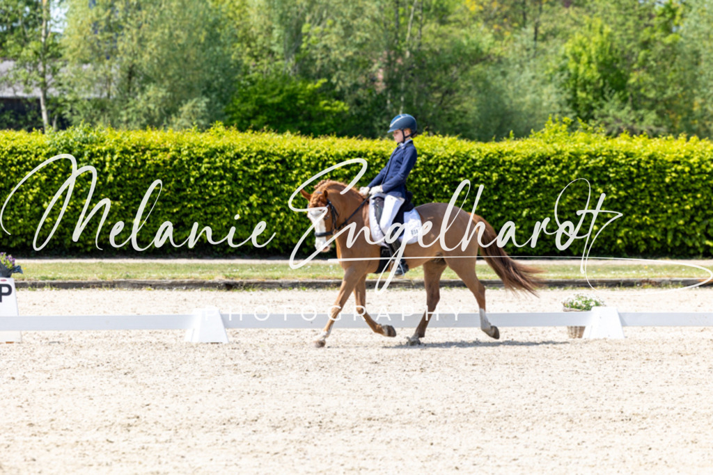 7I8A0264 | melanie-engelhardt-photography - Realisiert mit Pictrs.com