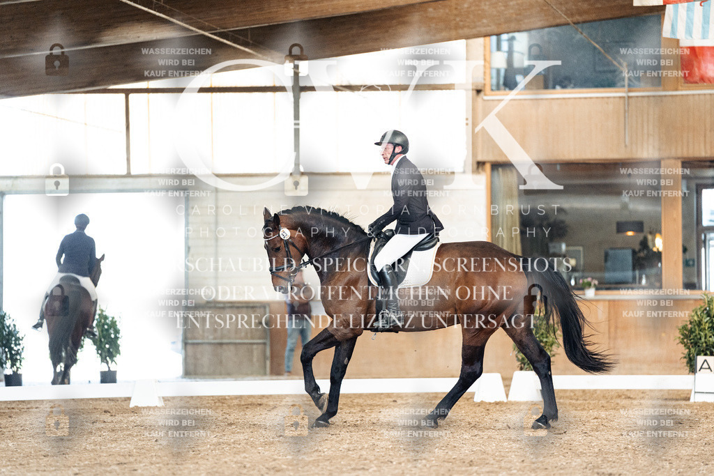 CK901287 | Turnierfotografie Pferdefotografie Trier Rheinland-Pfalz Pferdesport Reitsport Tierfotografie Sportfotografie Pferdevideo Pferdevideografie Equestrianvideography equestrianphotography  - Realisiert mit Pictrs.com