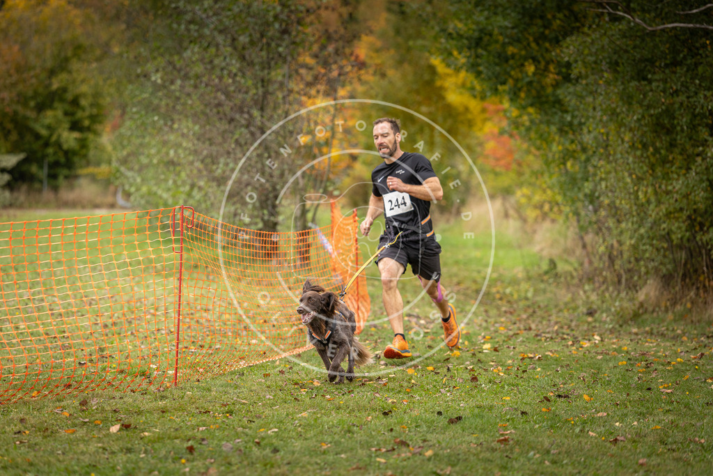 Pfotenfotografie_DV3A4258 | Hundefotografie, Tierfotograf, Pfotenfotografie, Fotoshooting Hund, Hunde Portrait, Hundesport, Hundeportraits, Heideshooting, Hunde, Sportfotograf, Hundefotograf, Turnierhundsport, THS,  - Realisiert mit Pictrs.com