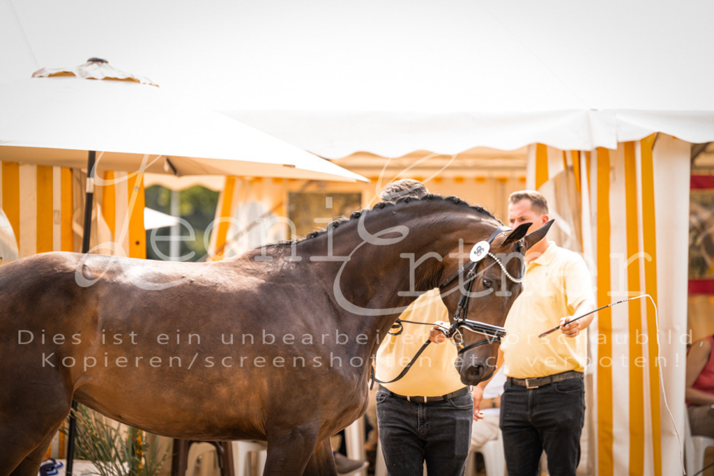 7.Fr00027 | Leoni Ertmer Photography - Realisiert mit Pictrs.com