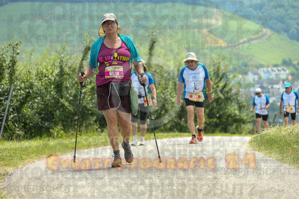250614_1340_EX1_9304 | Sportfotografie im Rhein-Sieg Kreis, Köln, Bonn, NRW, Rheinland Pfalz, Hessen, etc. Unser Tätigkeitsfeld umfasst den Laufsport vom Volkslauf über den Marathon, Duathlon, Triathon bis zum Ultralauf wie Kölnpfad Ultra oder Schindertrail.