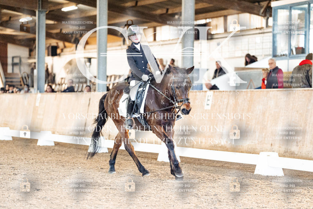CK907184 | Turnierfotografie Pferdefotografie Trier Rheinland-Pfalz Pferdesport Reitsport Tierfotografie Sportfotografie Pferdevideo Pferdevideografie Equestrianvideography equestrianphotography  - Realisiert mit Pictrs.com