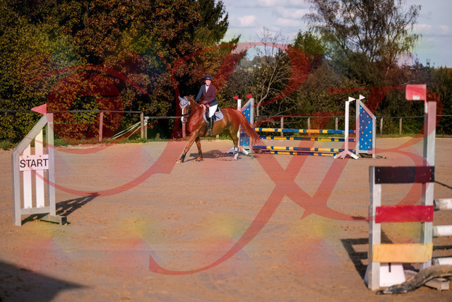 2026_10_03_Siefer-Hof_171224_Z81_09658104 | Professionelle Reitsport-, Turnier- und Eventfotografie von Robert Broda. Galerien mit ausgewählten und bearbeiteten Bildern direkt online ansehen und bestellen.