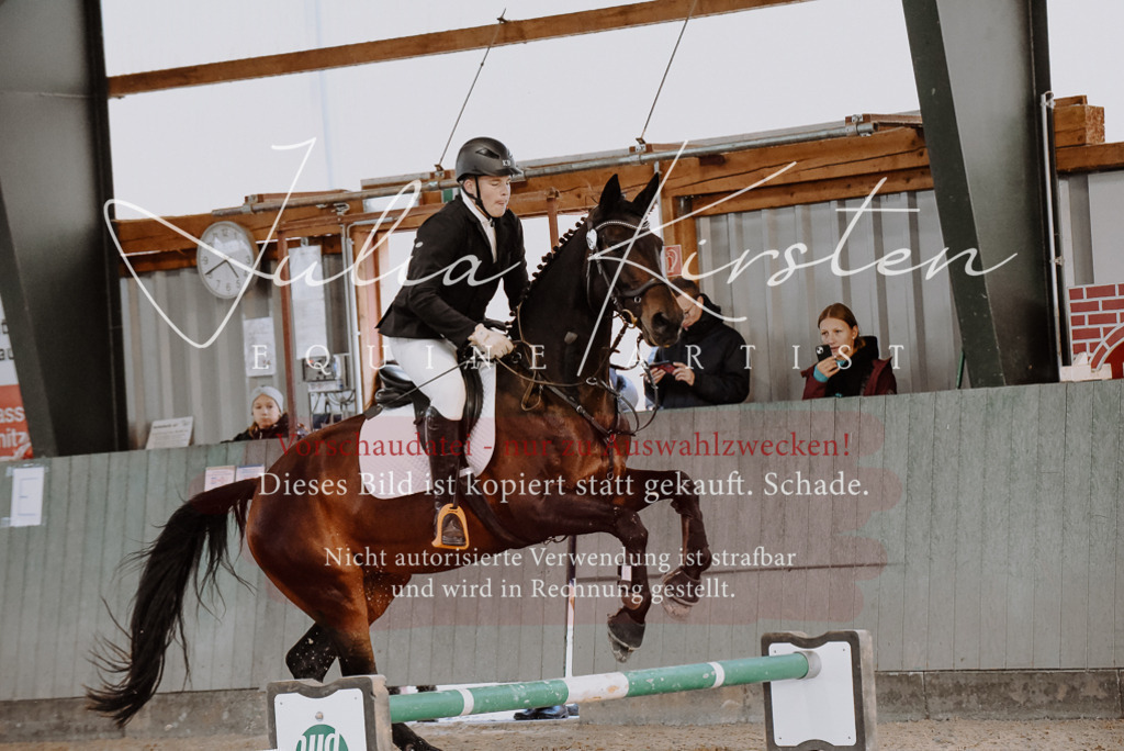 DSC_7440 | Pferde- und Turnierfotografie in Westsachsen. Pferdeportraits, Auftragszeichnungen und intuitive Kunst.