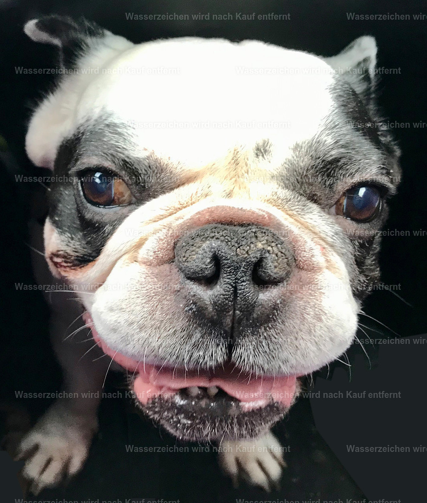 IMG_8682 | heikomoeller - Realisiert mit Pictrs.com