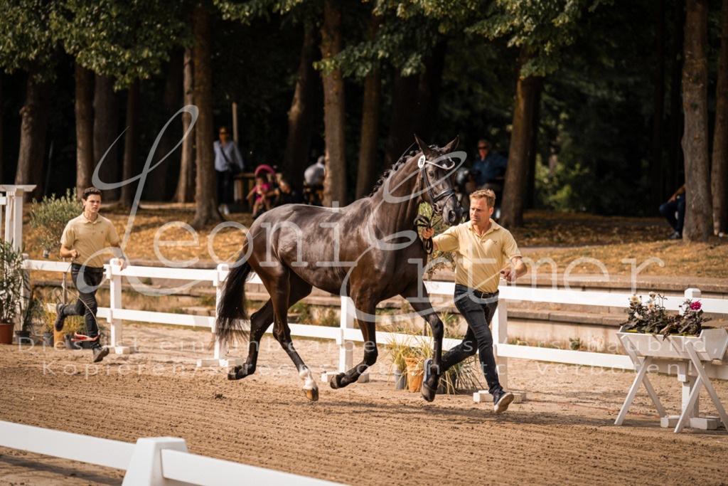 FrER00005 | Leoni Ertmer Photography - Realisiert mit Pictrs.com