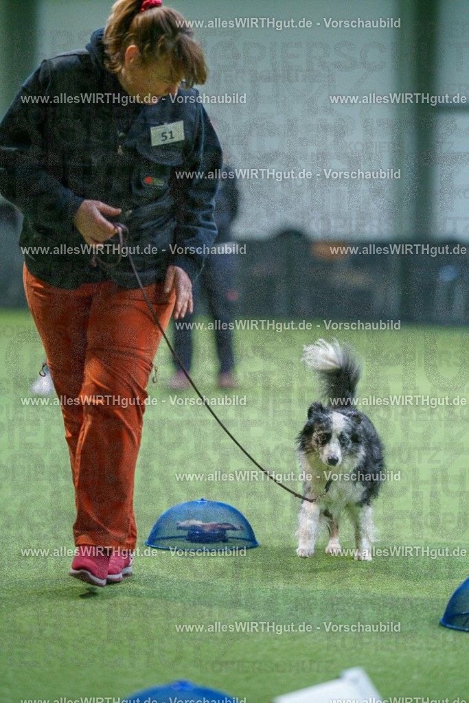 7R506406 | Professionelle Tierfotografie in Mönchengladbach von Daniel Wirth (allesWIRTHgut). Liebevolle & natürliche Bilder von Hunden & Katzen für unvergessliche Erinnerungen.