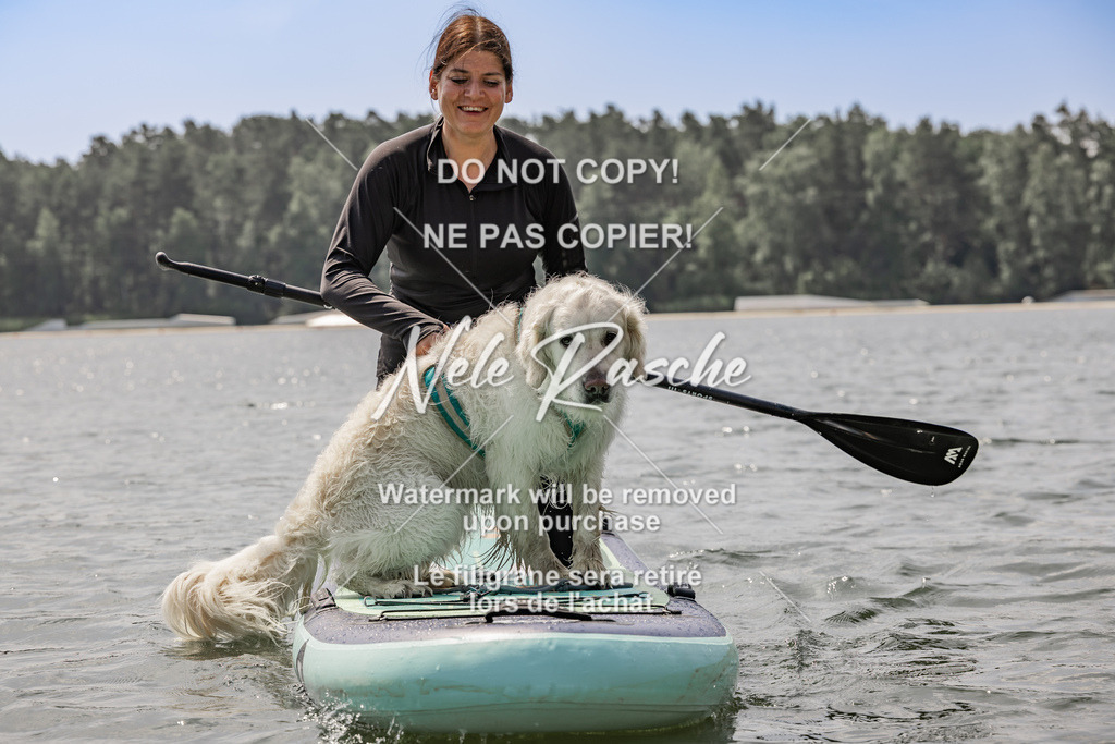 BUHU_SUP_695 | nelerasche