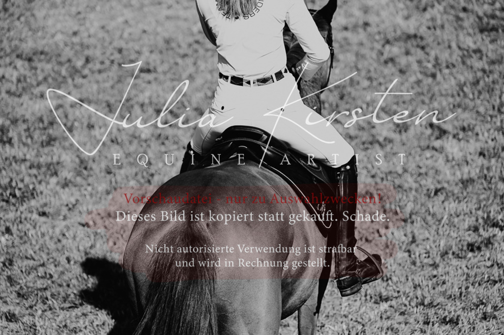 DSC_2313 | Pferde- und Turnierfotografie in Westsachsen. Pferdeportraits, Auftragszeichnungen und intuitive Kunst.