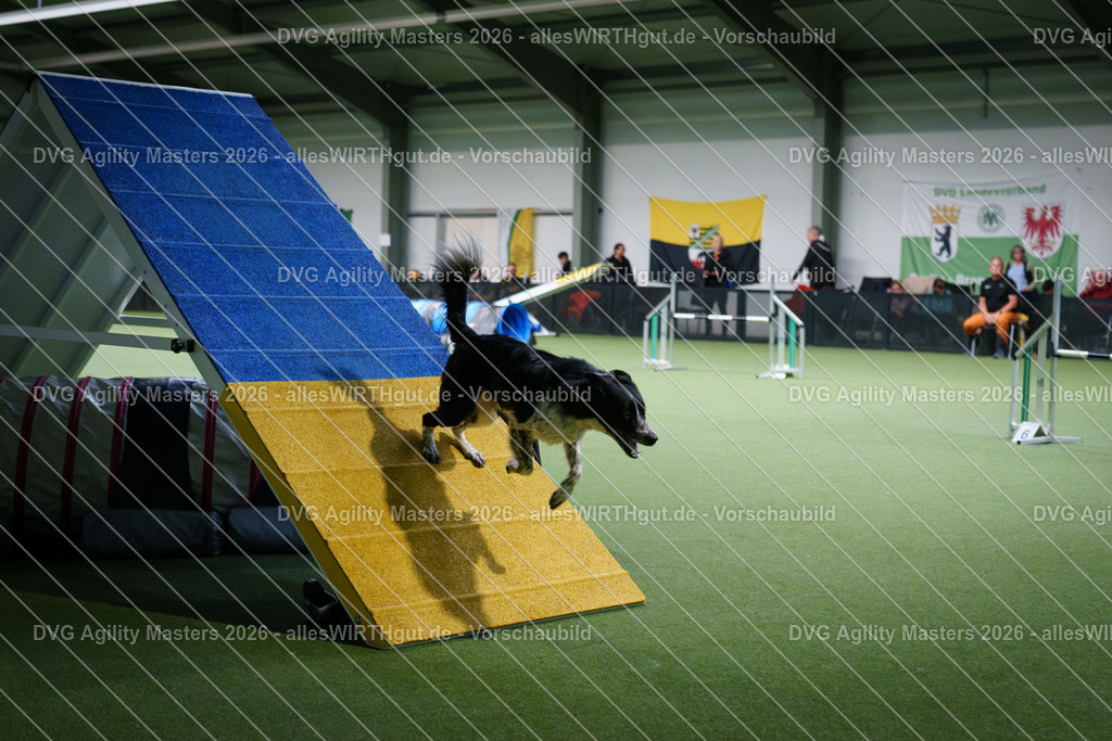 allesWIRTHgut_Tierfotografie-DVG_Agility_Masters_2026-16_20-7R507542 | Professionelle Tierfotografie in Mönchengladbach von Daniel Wirth (allesWIRTHgut). Liebevolle & natürliche Bilder von Hunden & Katzen für unvergessliche Erinnerungen.