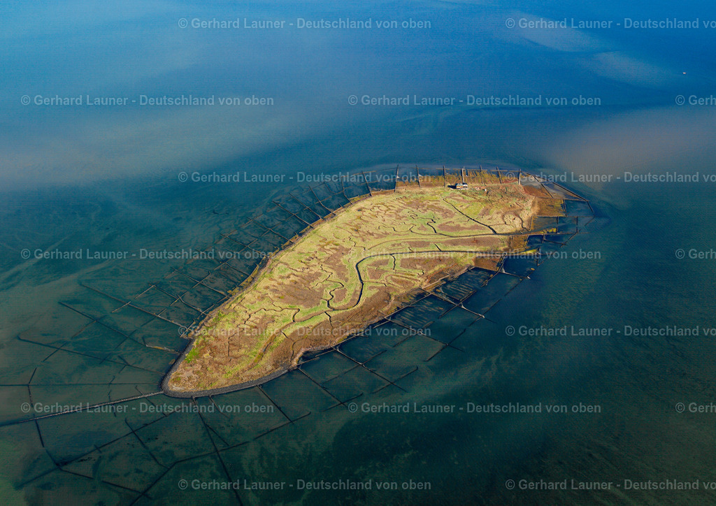 2581383 | HOOGE 11.08.2021 Küstenbereich und Naturschutzgebiet der Vogelfreistätte Hallig Norderoog - Insel in Hooge im Bundesland Schleswig-Holstein. // Coastal area of the Vogelfreistaette Hallig Norderoog - Island in Hooge in the state Schleswig-Holstein. Foto: Gerhard Launer