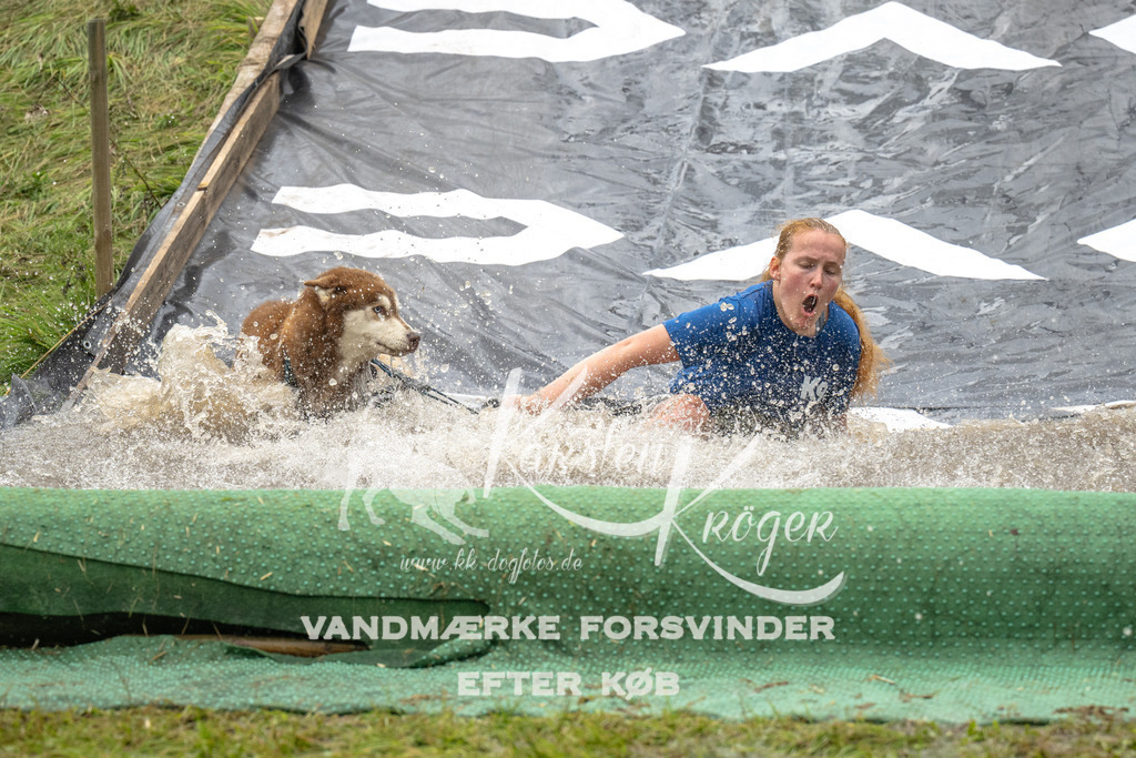 1557_ZZ91596 | kk-dogfotos