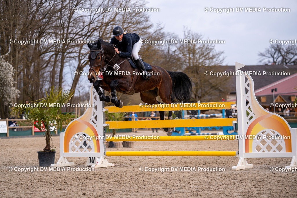 Kranichstein Tag 2-2268 | dv-media-shop - Realisiert mit Pictrs.com