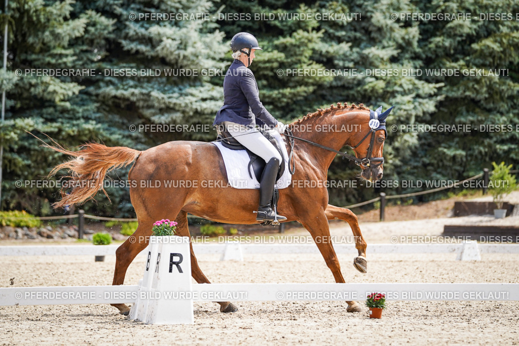 DSC00515 | Pferdegrafie