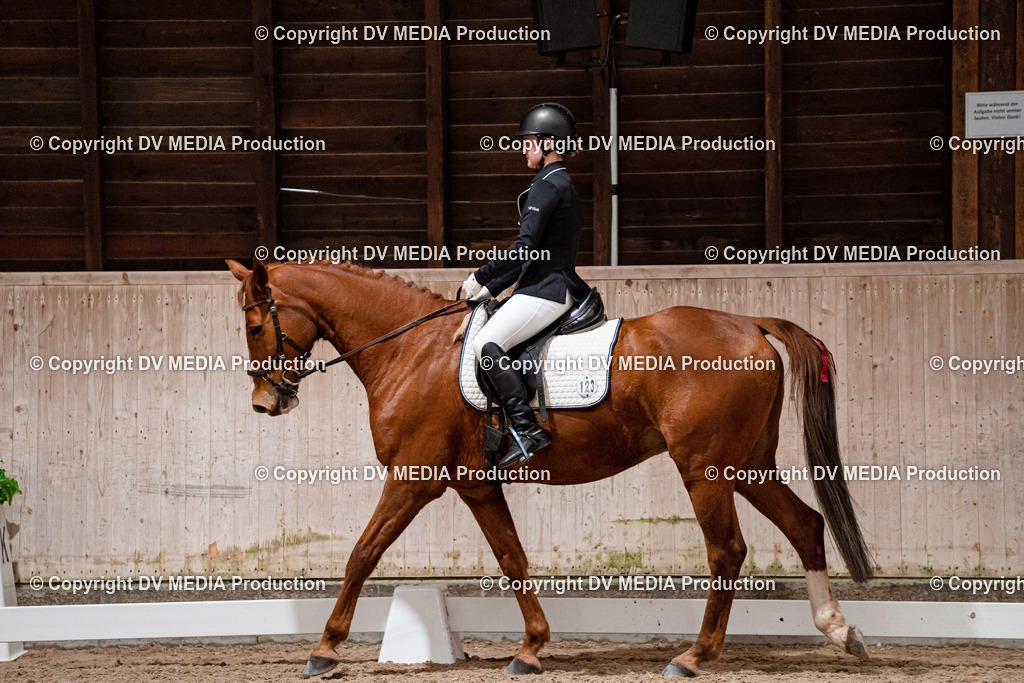 Dressur Tag 2-416 | dv-media-shop - Realisiert mit Pictrs.com