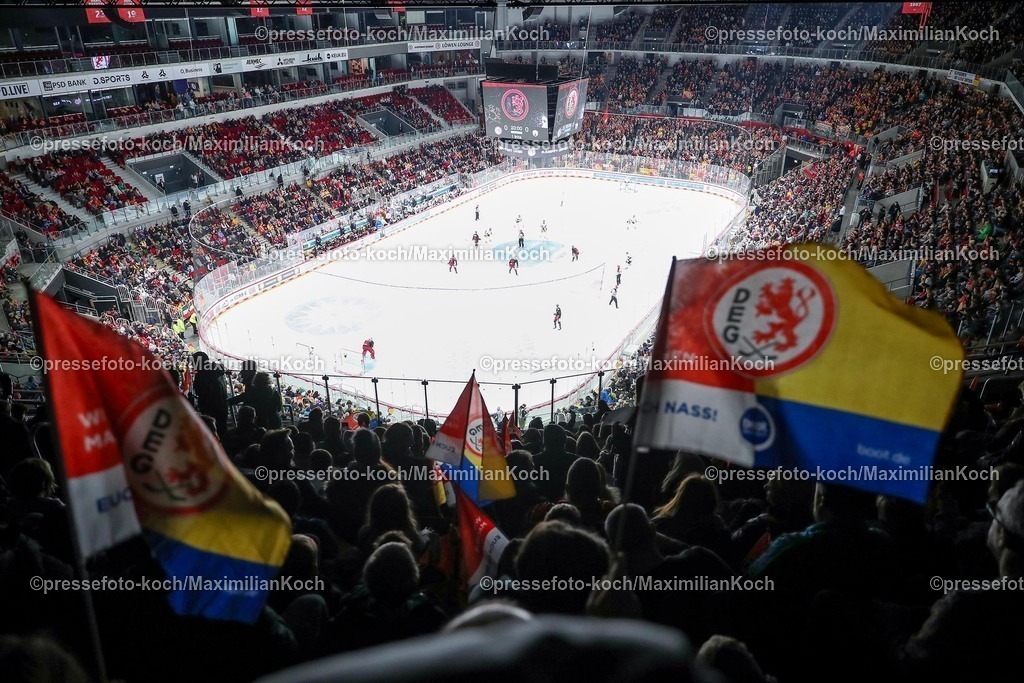 DEG12012501057 | 12.01.2025, Eishockey, Penny DEL, Düsseldorfer EG - Eisbären Berlin, PSD-BANK Dome: Feature Fans der DEG in der vollen Eishalle. Übersicht Übersichtsfoto Übersichtsbild der Spielstätte Innenansicht Zuschauer Fans Eishockeyspielfeld 