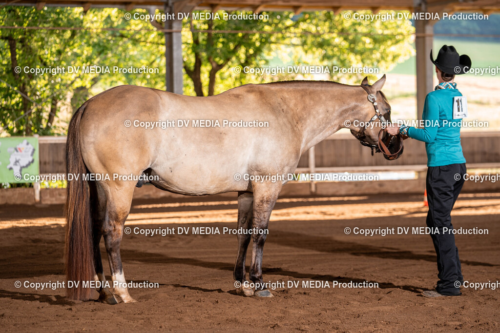 Erbach Tag 3-12 | dv-media-shop - Realisiert mit Pictrs.com