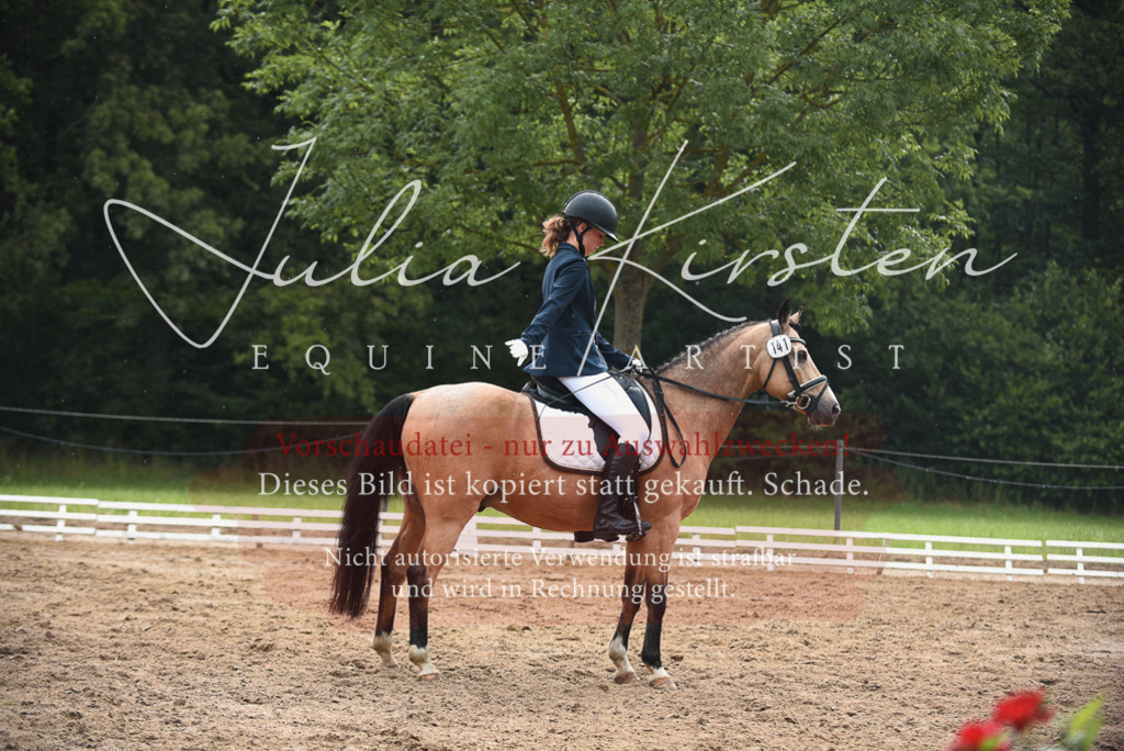 DSC_0047 | Pferde- und Turnierfotografie in Westsachsen. Pferdeportraits, Auftragszeichnungen und intuitive Kunst.