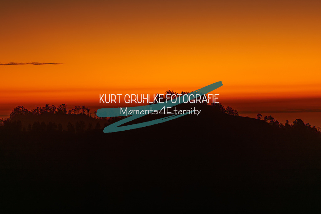 230719-0498-Verbessert-RR - Kopie | onlinegalerie und Fotoshop Kurt Gruhlke Fotograf Berlin
Hochzeitsfotograf Eventfotograf Portraitfotografie
 - Realisiert mit Pictrs.com