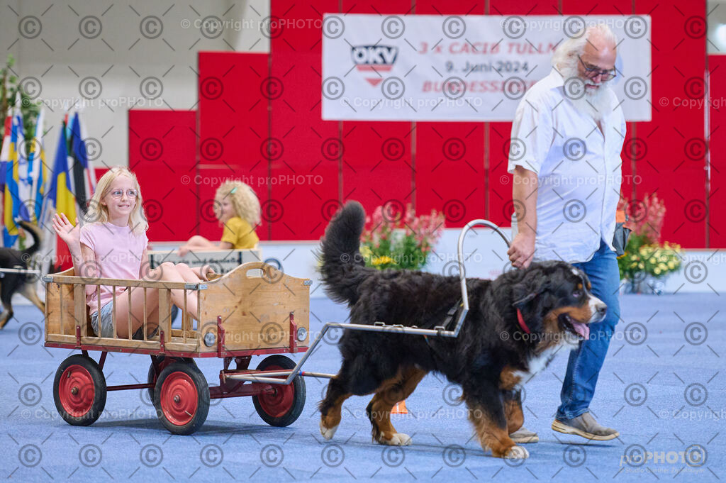 202406_ÖKV-IHA-Tulln24_DSC_4664 | proPHOTO - Realisiert mit Pictrs.com