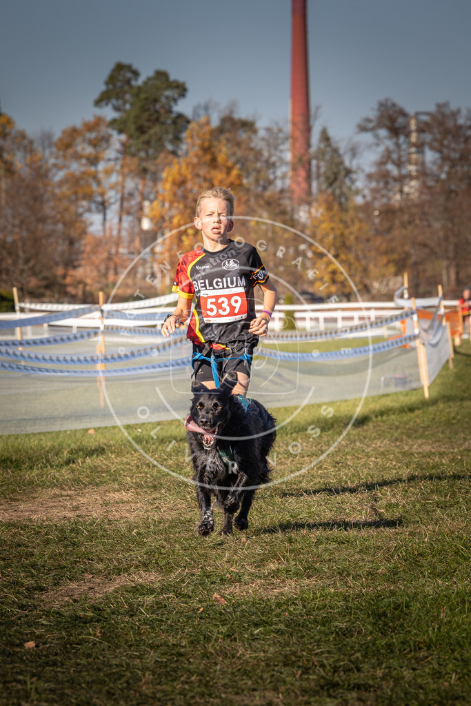 CaniXpix_0L8A7489 | Hundefotografie, Tierfotograf, Pfotenfotografie, Fotoshooting Hund, Hunde Portrait, Hundesport, Hundeportraits, Heideshooting, Hunde, Sportfotograf, Hundefotograf, Turnierhundsport, THS,  - Realisiert mit Pictrs.com