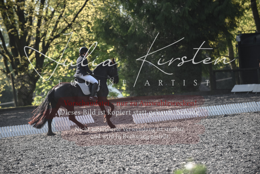 20230513_JK-Röhrsdorf-14-031 | Pferde- und Turnierfotografie in Westsachsen. Pferdeportraits, Auftragszeichnungen und intuitive Kunst.