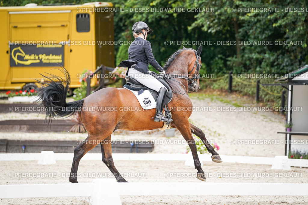 DSC08272 | Pferdegrafie