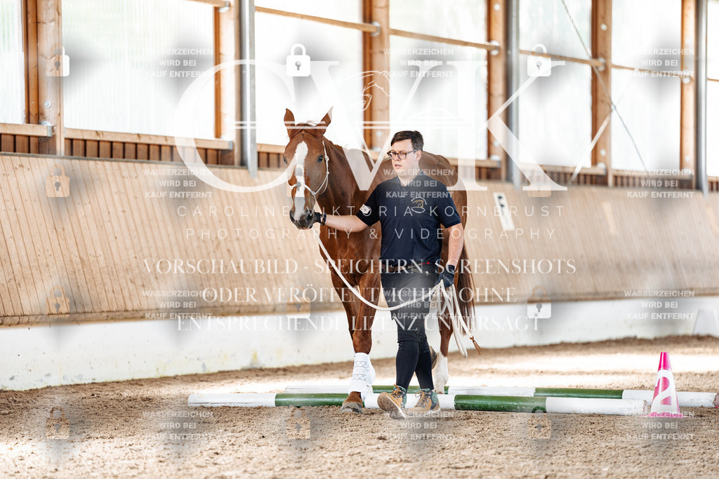 CK905826 | Turnierfotografie Pferdefotografie Trier Rheinland-Pfalz Pferdesport Reitsport Tierfotografie Sportfotografie Pferdevideo Pferdevideografie Equestrianvideography equestrianphotography  - Realisiert mit Pictrs.com