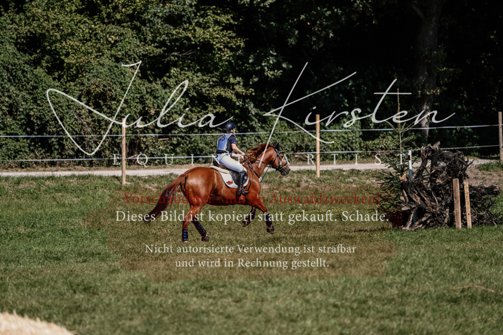 DSC_1913 | Pferde- und Turnierfotografie in Westsachsen. Pferdeportraits, Auftragszeichnungen und intuitive Kunst.