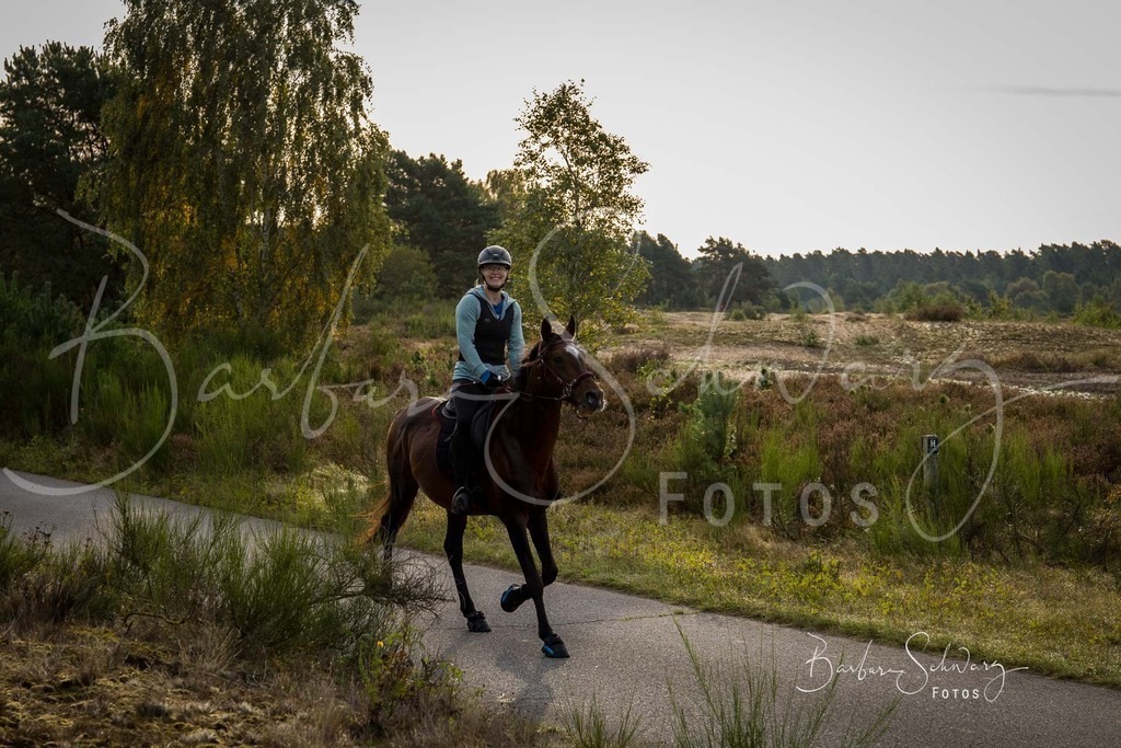 DdLH-TrotBy_2025-09-20_14 | Fotografie, Veranstaltungs-Fotografie, Pferde-Fotografie, Landschafts-Fotografie, Reise-Fotografie - Realisiert mit Pictrs.com