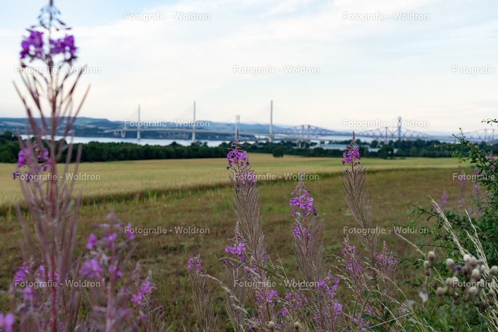 20230814 Edinburgh-74 | Fotografie Woldron